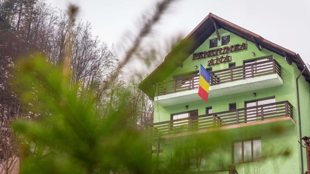 Pensiunea Ana Cavnic Exterior foto