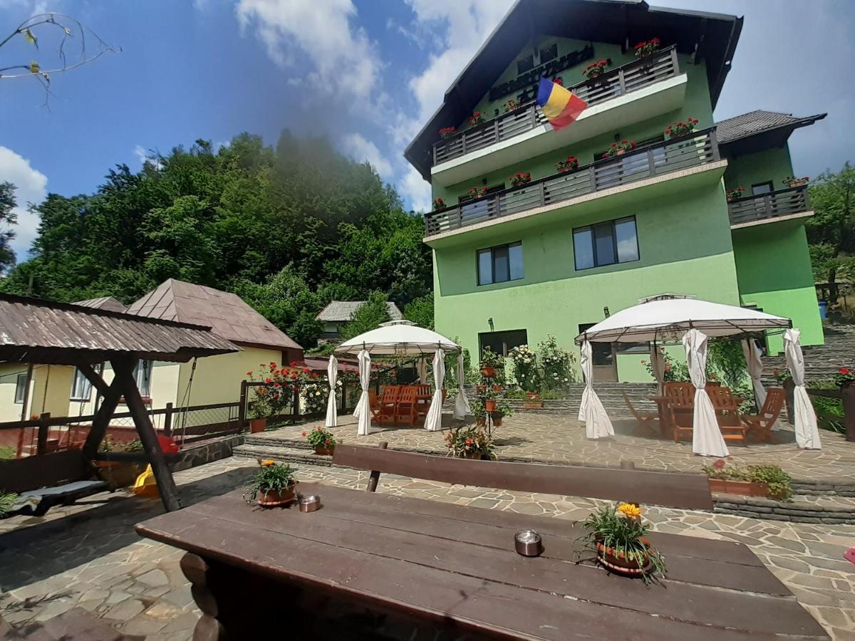 Pensiunea Ana Cavnic Exterior foto