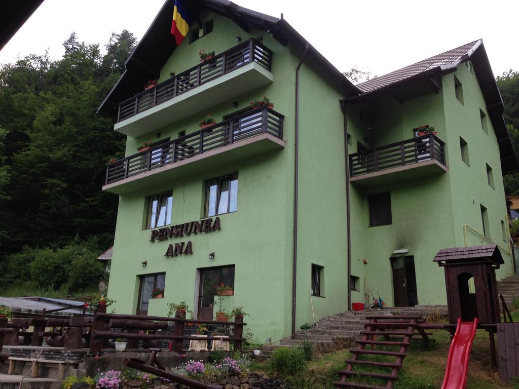 Pensiunea Ana Cavnic Exterior foto